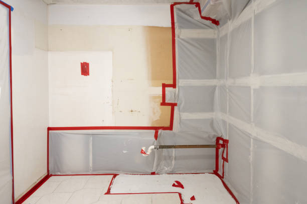 Mold Remediation for Rental Properties